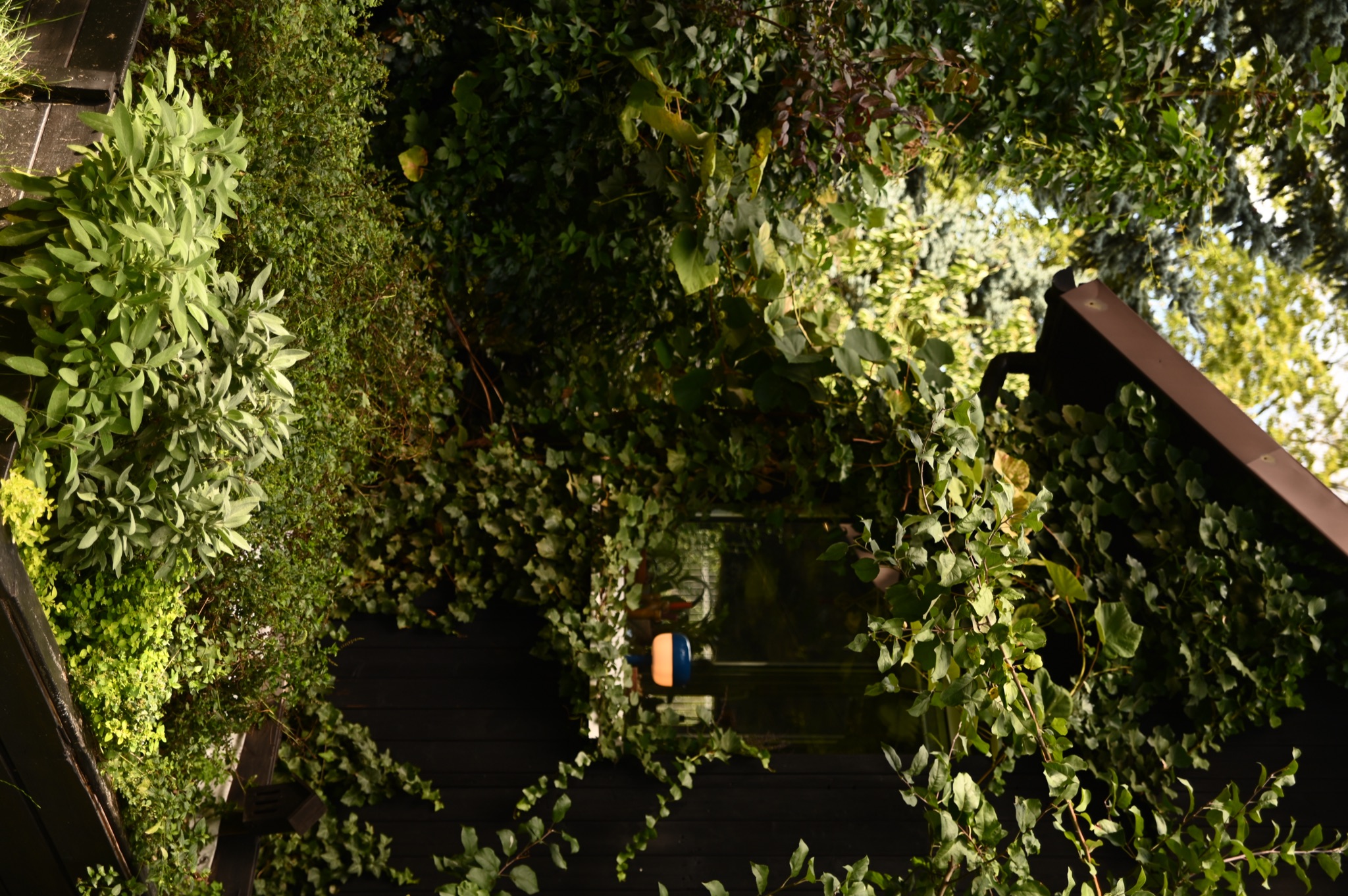 Domek fiński Domek fiński